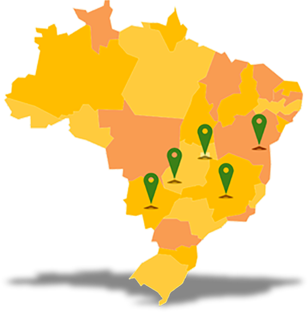 Área de Atuação