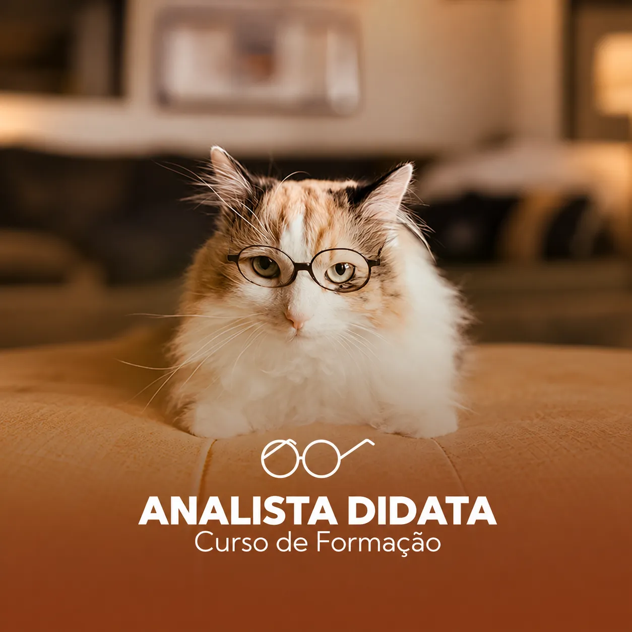 Formação de Analista Didata