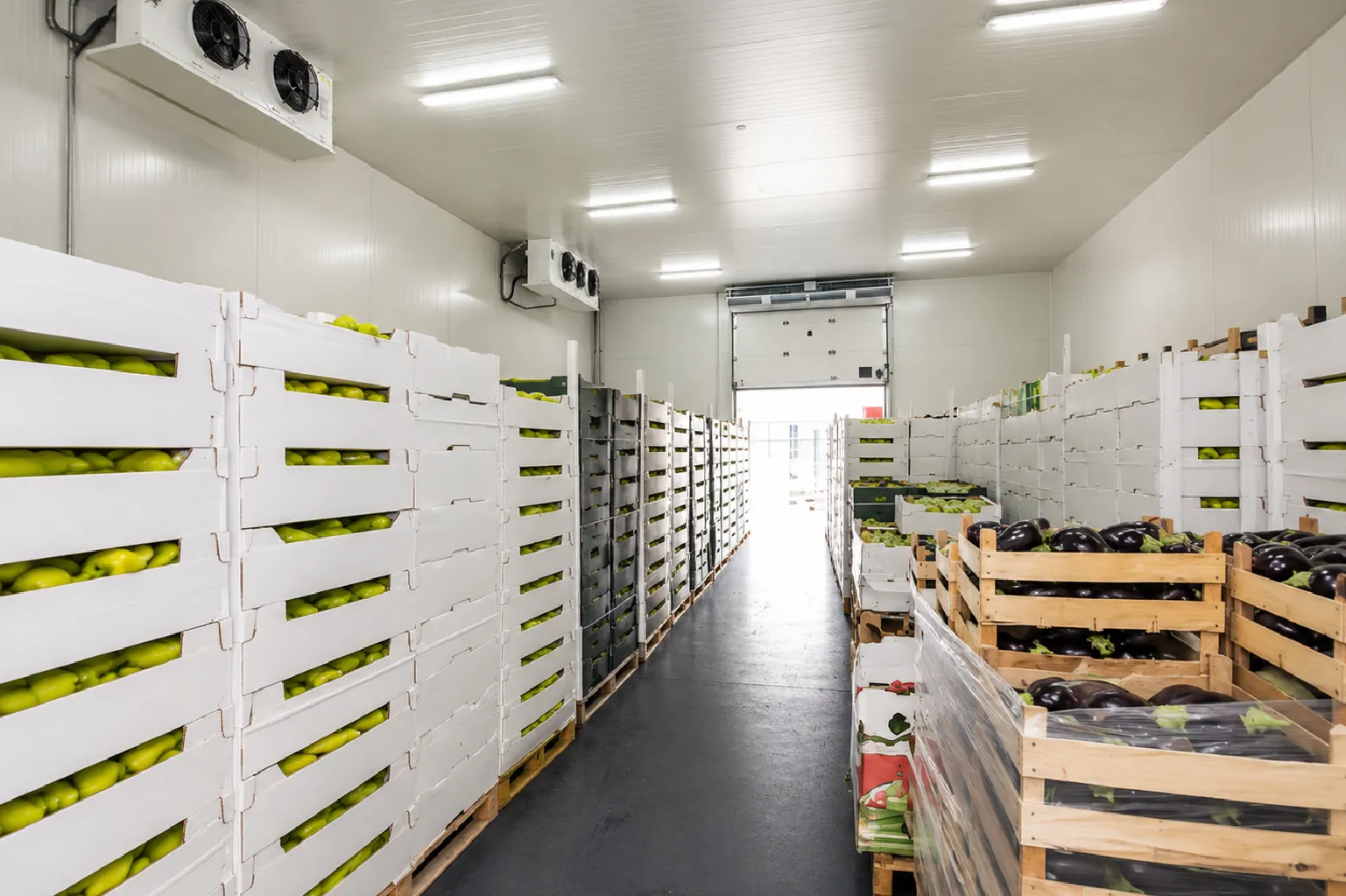 Armazenagem refrigerada de alimentos em ambiente controlado