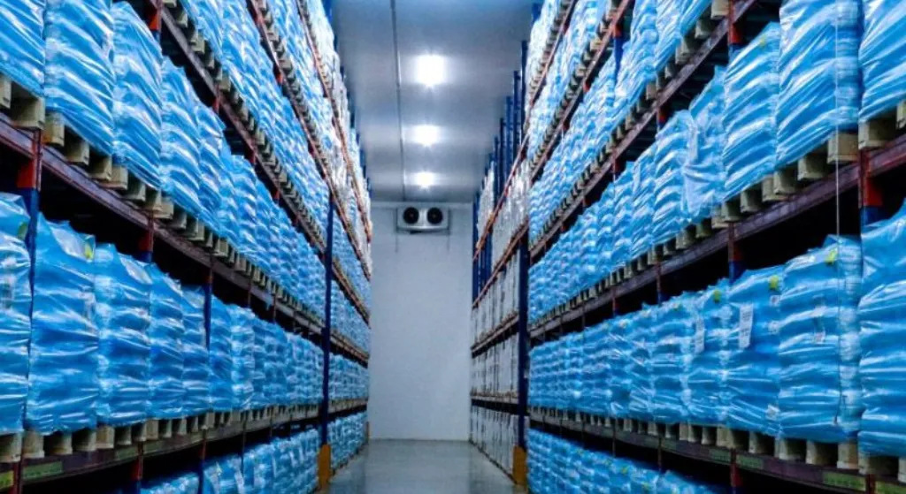 Armazenagem e Estruturas